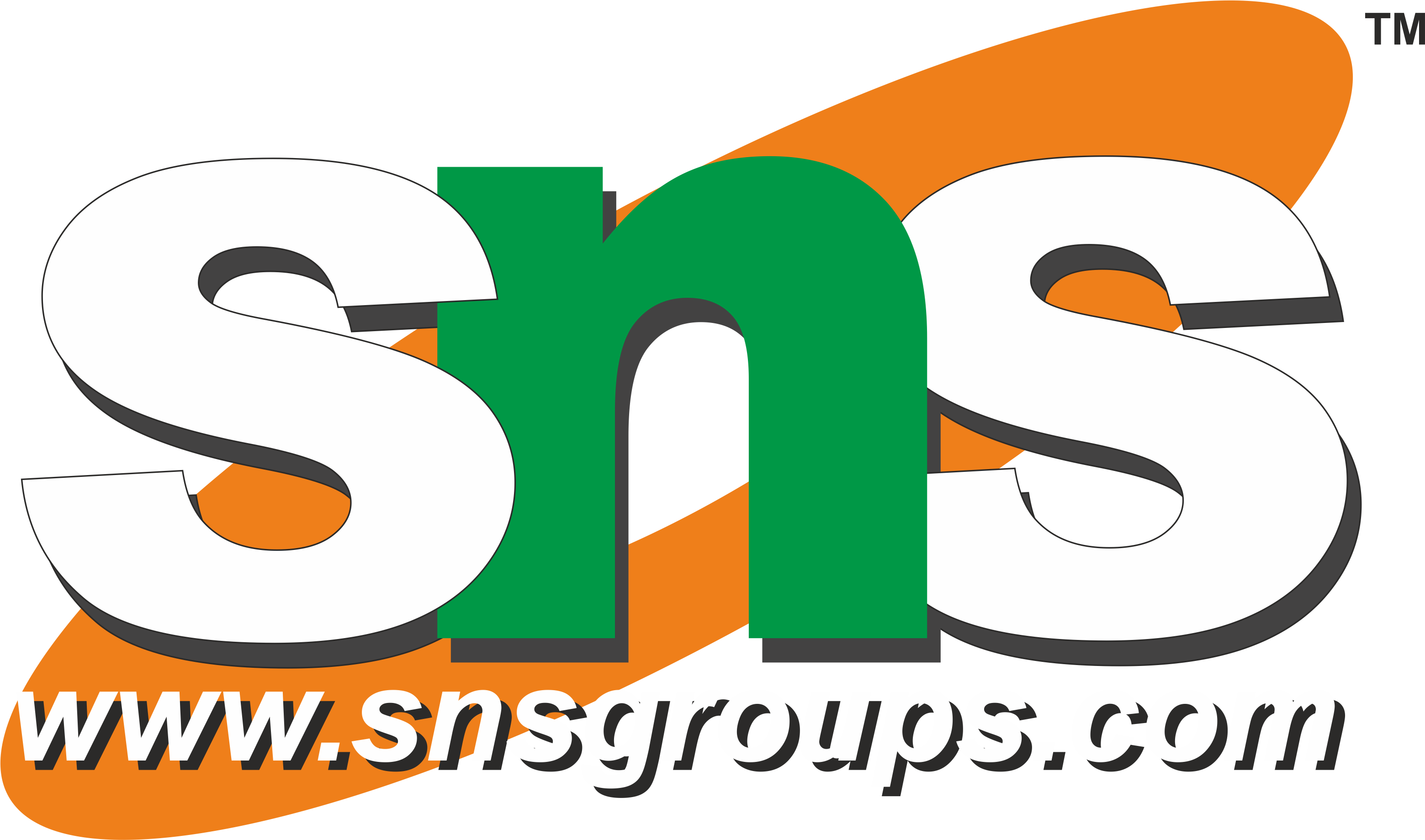 SNS Logo logo