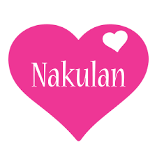 Nakulan Tex LLP logo