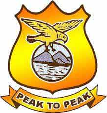 Pattammal Alagesan College logo